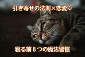 寝落ち直前のぶち猫が寝転びながら右上に目線をやっている