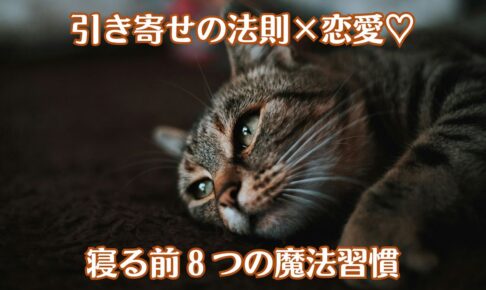 寝落ち直前のぶち猫が寝転びながら右上に目線をやっている