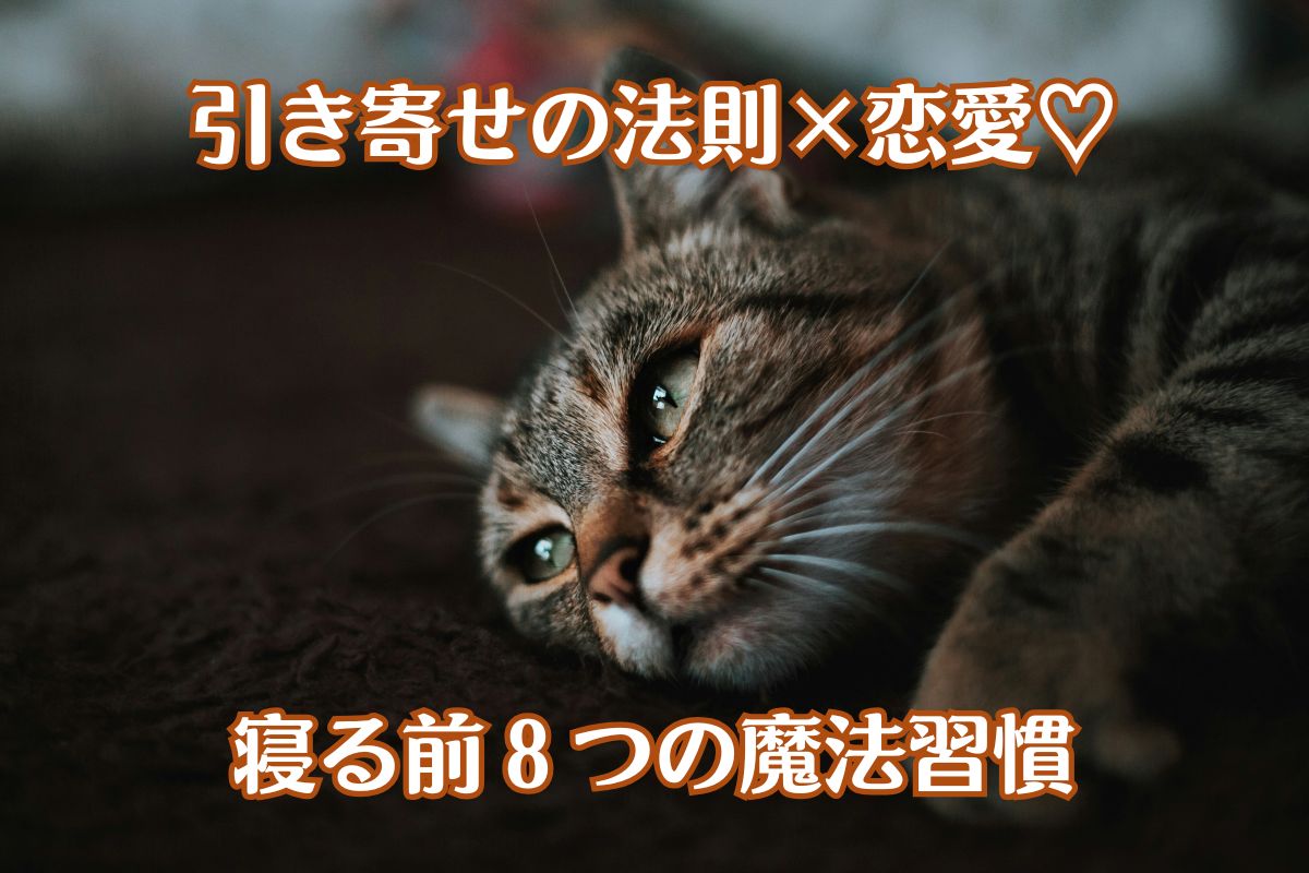 寝落ち直前のぶち猫が寝転びながら右上に目線をやっている