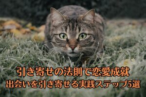 低姿勢の猫が、カメラ目線でこちらを見ている