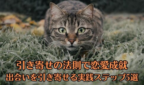 低姿勢の猫が、カメラ目線でこちらを見ている