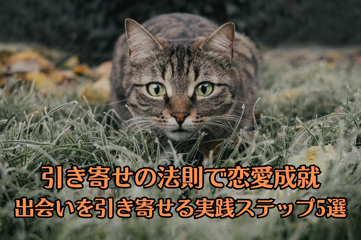 低姿勢の猫が、カメラ目線でこちらを見ている