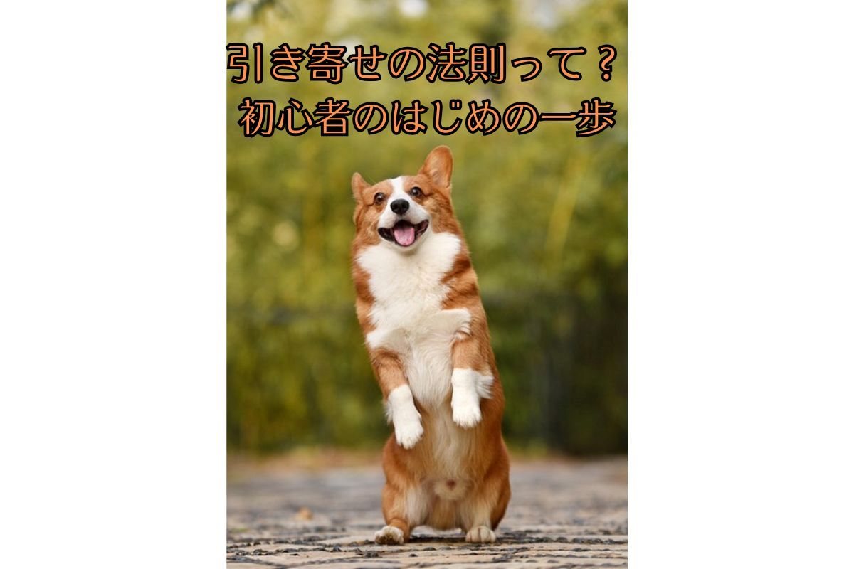 茶色のコーギーが立っている