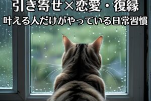 雨が降る様子を、窓際で猫がみている、猫の後ろ姿