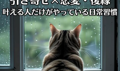 雨が降る様子を、窓際で猫がみている、猫の後ろ姿