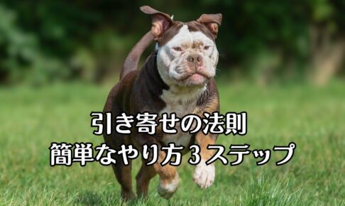 草原を走る、ブスかわのフレンチブルドッグ