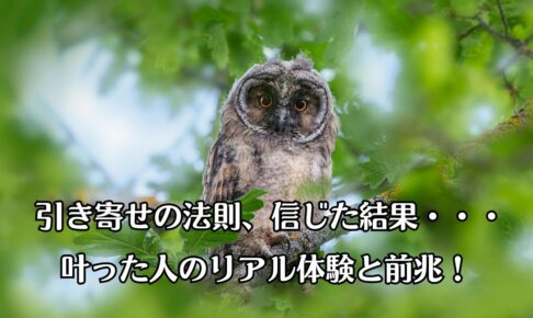目をカッと見開いたフクロウがこっちを見ている