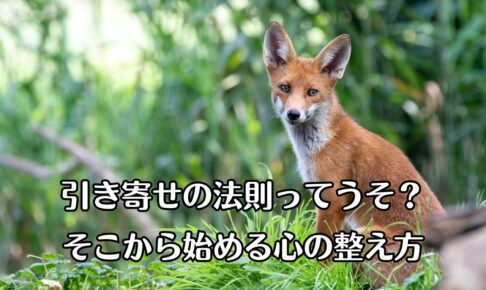 きつねが左斜め後ろのこちらを向いて、じっと見ている