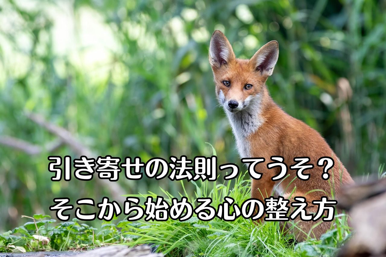 きつねが左斜め後ろのこちらを向いて、じっと見ている