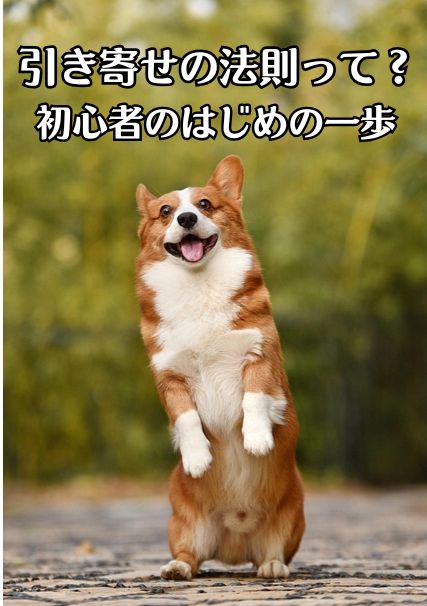 茶色のコーギーが立っている